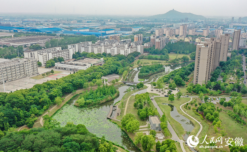 俯瞰蘆塘生態(tài)公園。人民網(wǎng)記者 張俊攝